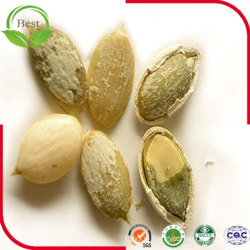 2016 Crop Top Wolesale China Gws Pumpkin Seeds Kernel Price